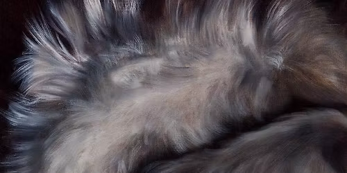 Fur Oil Painting Masterclass with Janice Gobey