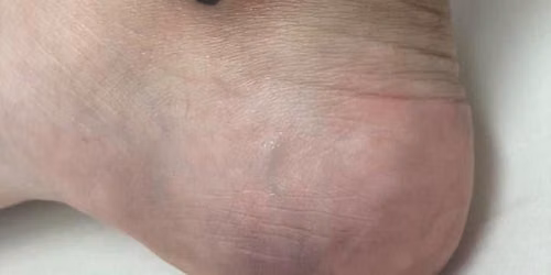 Tiny Tats for Tiny Paws <svg xmlns=