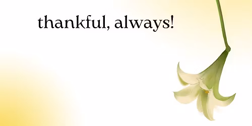 The Power of Gratitude