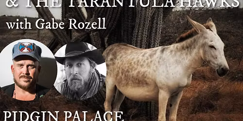 DAVID HUCKFELT & THE TARANTULA HAWKS - LIVE @ PIDGIN PALACE with special guest GABE ROZELL