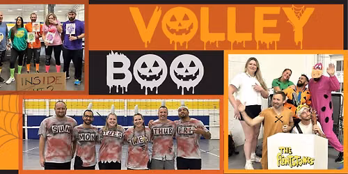 VolleyBOO!