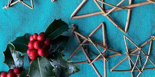 Willow star workshop