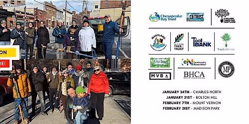 Madison Park Pruning