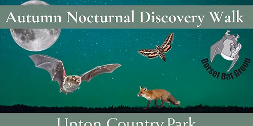 Autumn Nocturnal Discovery Walk with Dorset Bat Group
