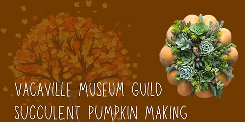 Vacaville Museum Guild Succulent Pumpkin Making Class