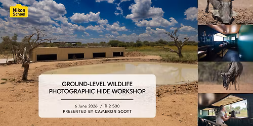 Ground-Level Wildlife Photographic Hide Workshop With Cameron Scott