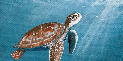 Turtle Encounter Canvas Paint and Sip