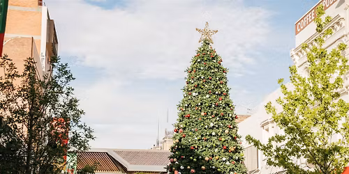 City of Launceston Lighting of the Tree