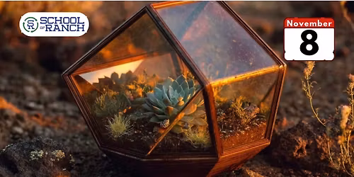 Nature in Glass: Terrarium Building Basics