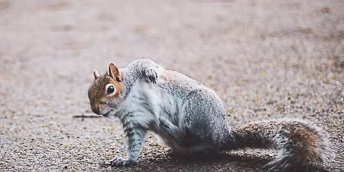 Capturing Nature: Beginners Photography in the Park