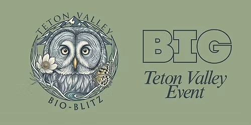 Teton Valley BioBlitz