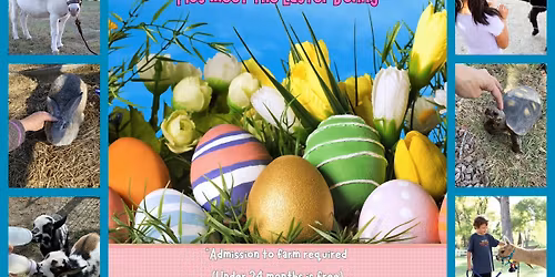 Easter at the Farm