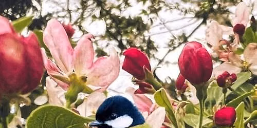 GARDEN TOUR