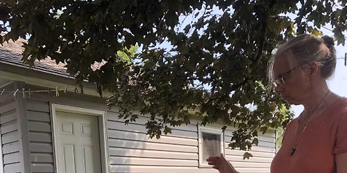 Medical Qigong Energy Healing course Level 1