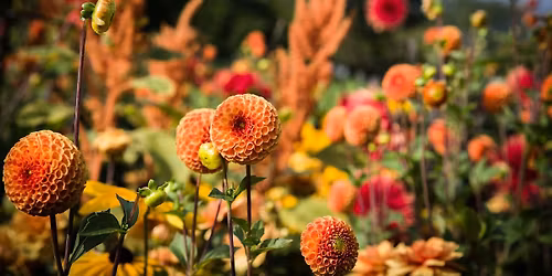 Monthly \u2018How To\u2019 Mornings: How to Turn Your Kitchen & Garden Waste into Compost