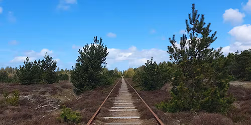 Nyt\u00e5rsvandring i L\u00f8nne