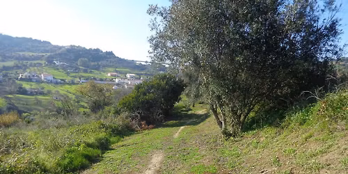 Caminhando no Vale da Calhandriz