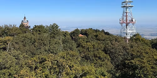 Biegowy trip \u015al\u0119za vol.3