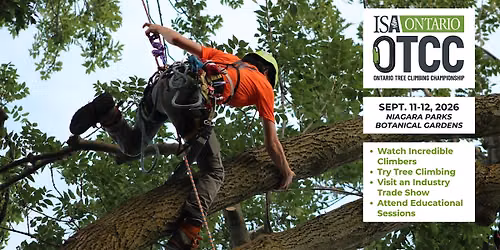 Ontario Tree Climbing Championship