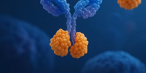 Antibody-Drug Conjugates in Oncology
