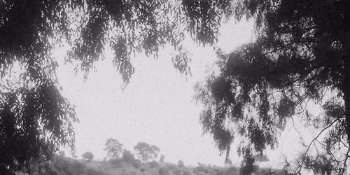 Beats & Bites Brunch: Kaleo Young