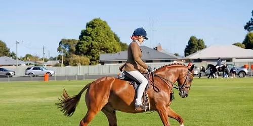 Harvey Agricultural Show Official and Unofficial Show Horse 