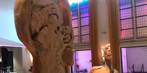 Der menschliche K\u00f6rper Sonderausstellung Hof