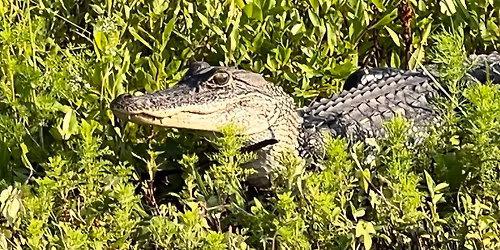 Robert Bowlin and Wil Maring in Gainesville FL 