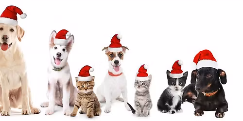 HOLIDAY CRAFT AND VENDOR SHOW