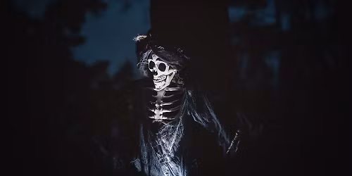 No\u010dn\u00ed stra\u0161ideln\u00fd les \u010e\u00e1blick\u00fd h\u00e1j