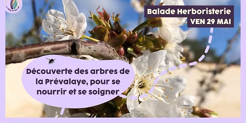 Balade : d\u00e9couverte des arbres de la Pr\u00e9valaye, pour se nourrir et se soigner