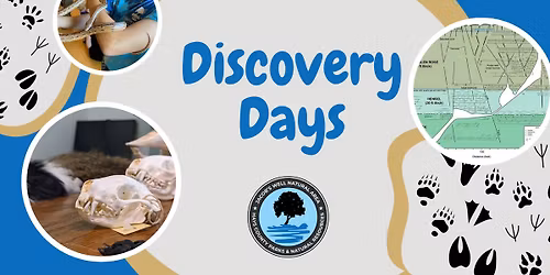 Discovery Day