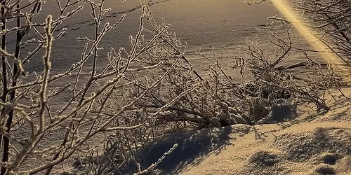 Vintersolverv\ud83c\udf1e Kakao~ og hvilesirkel~myk yoga~avspenning~meditasjon~lydbad\u2728