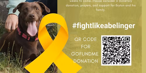 Benefit for Bryton Belinger