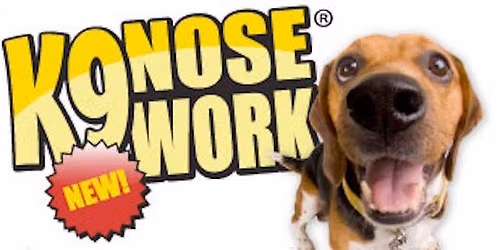 B\u00e4sta nosen - K9 Nose Work-grundkurs