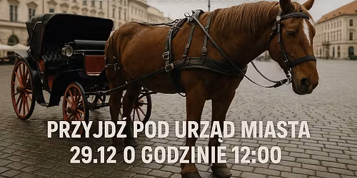 KRAK\u00d3W BEZ DORO\u017bEK KONNYCH - PROTEST POD UM