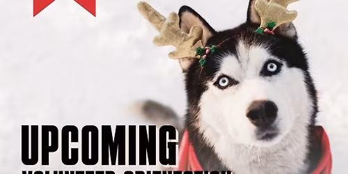 December - Volunteer Orientation #2