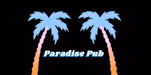 THE HONKY TONK HEROES AT THE PARADISE PUB