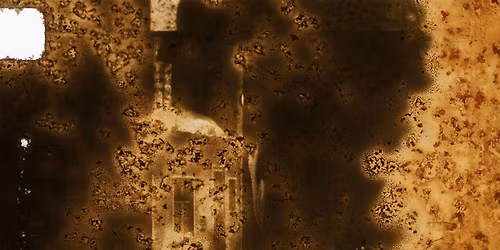 Eco-mordan\u00e7age & the Moving Image