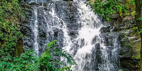Greenbrook Sanctuary Visitor's Day for Non-Members