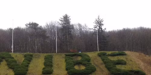 Lions Club Nibes store Julebingo