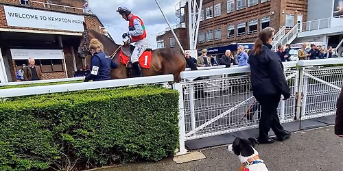 Kempton Park Community Day Meet & Greet