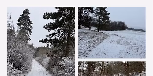 Community AdventsTRAIL Nordhausen