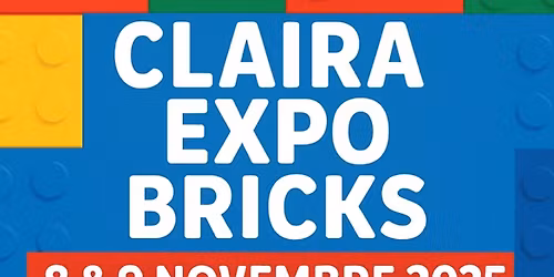 \ud83c\udf8aCLAIRA expo bricks !\ud83c\udf8a
