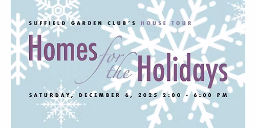 Holiday House Tour 2025