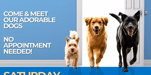 AAPS - SHELTER OPEN DAY