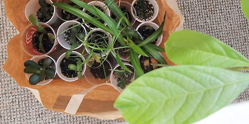 Grow your garden with FPL! \ud83c\udf31
