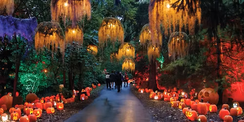 Parking Clue - A New Comedy - Indianapolis