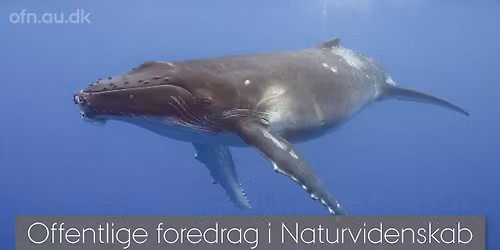 Foredrag: Med havets k\u00e6mper p\u00e5 jagt