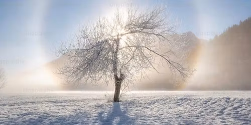 Feast of the Winter Solstice 